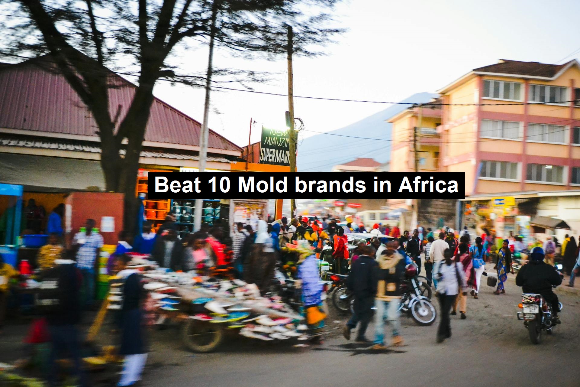 Beat 10 Mold brands in Africa