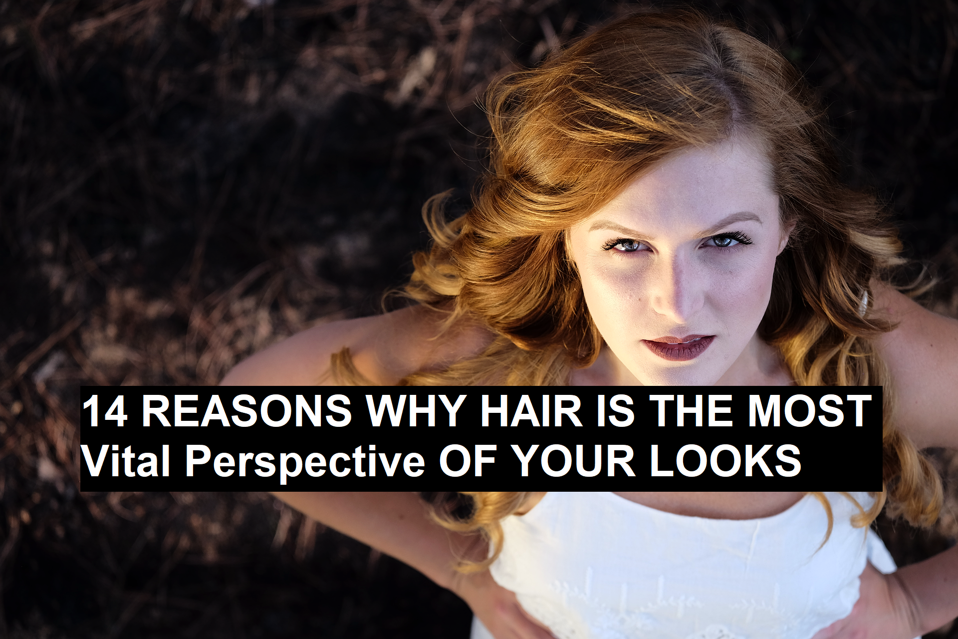 14 Reasons Why Hair is the Most Vital Perspective of your Looks